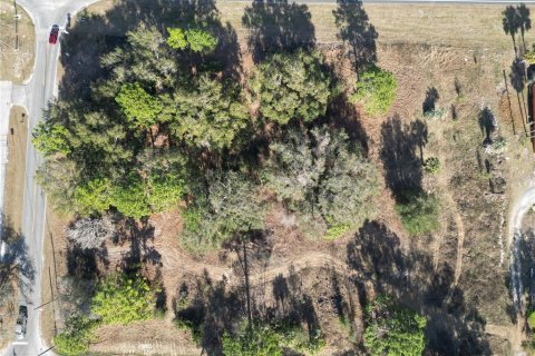 Terrain à vendre à Belleview, Floride № 1541099 - photo 12