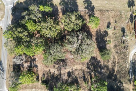 Terrain à vendre à Belleview, Floride № 1541099 - photo 13