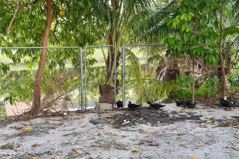 House in Lauderhill, Florida 3 bedrooms, 180.79 sq.m. № 2013157 - photo 14