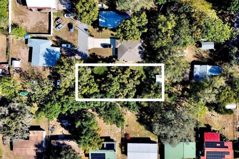 Land in Frostproof, Florida № 2162925