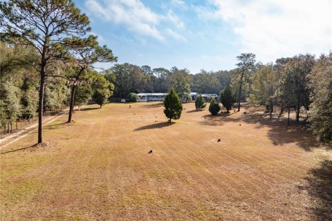 House in Brooksville, Florida 2 bedrooms, 280.01 sq.m. № 1615238 - photo 2
