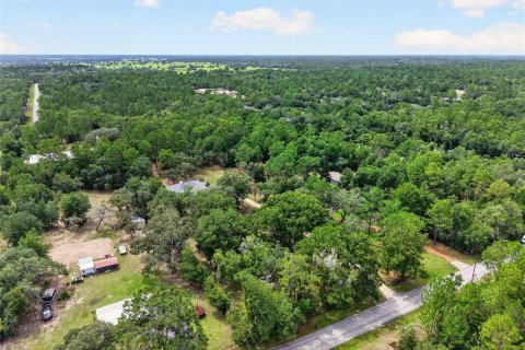 Casa en venta en Dunnellon, Florida, 4 dormitorios, 209.59 m2 № 2285073 - foto 4