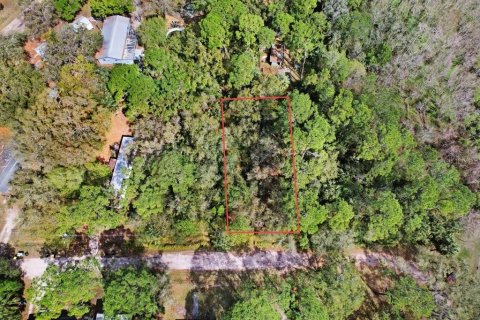 Terreno en Lake Wales, Florida № 2218298