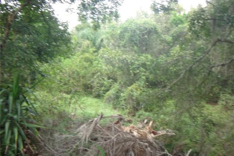 Land in Lake Wales, Florida № 2384375 - photo 4