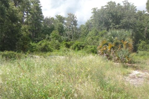 Land in Lake Wales, Florida № 2384375