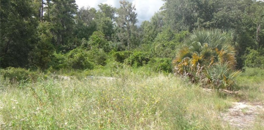 Land in Lake Wales, Florida № 2384375