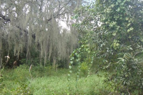 Land in Lake Wales, Florida № 2384375 - photo 5