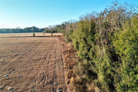 Land in Ocala, Florida № 2125980 - photo 13