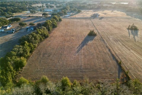 Land in Ocala, Florida № 2125980 - photo 5