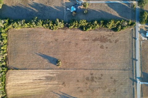 Land in Ocala, Florida № 2125980 - photo 9