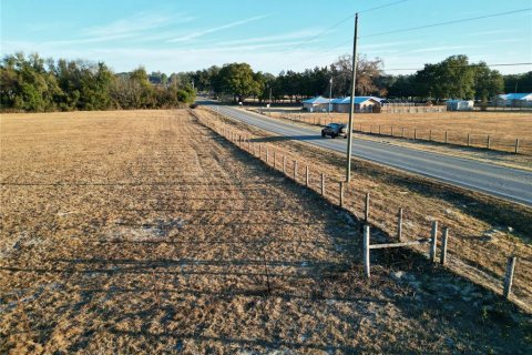 Land in Ocala, Florida № 2125980 - photo 20