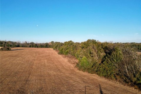 Land in Ocala, Florida № 2125980 - photo 17
