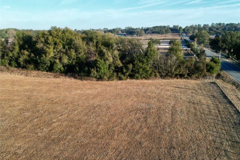 Land in Ocala, Florida № 2125980 - photo 21