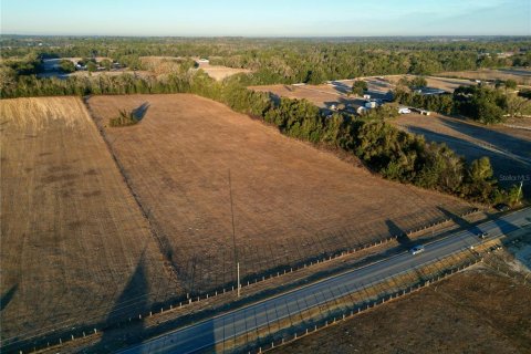 Land in Ocala, Florida № 2125980 - photo 2