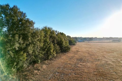 Land in Ocala, Florida № 2125980 - photo 16