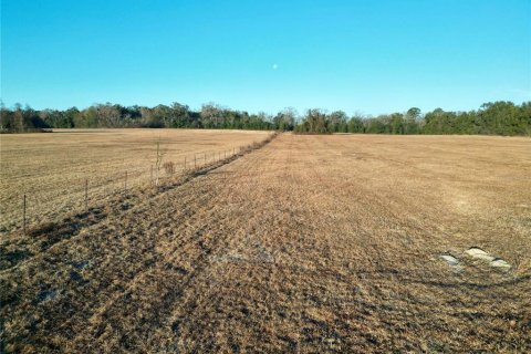 Land in Ocala, Florida № 2125980 - photo 19
