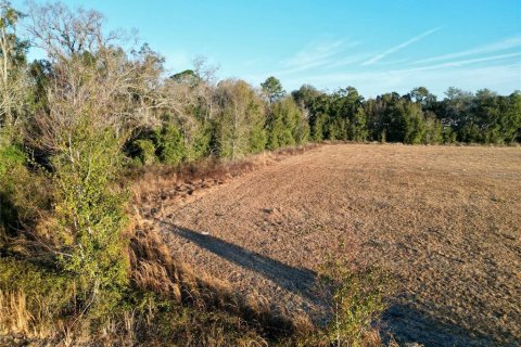 Land in Ocala, Florida № 2125980 - photo 12