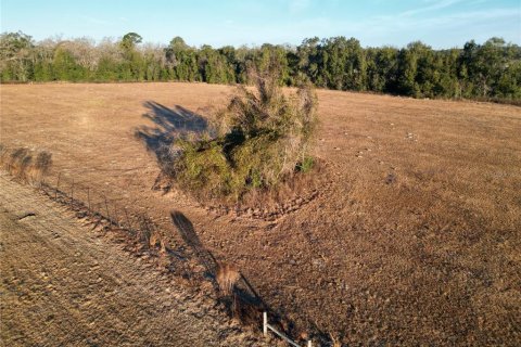 Land in Ocala, Florida № 2125980 - photo 10