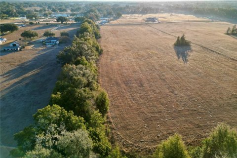 Land in Ocala, Florida № 2125980 - photo 15