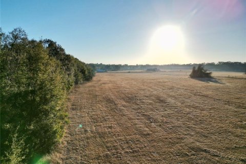 Land in Ocala, Florida № 2125980 - photo 14