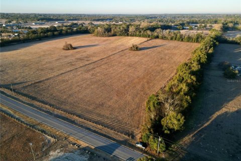 Land in Ocala, Florida № 2125980 - photo 3