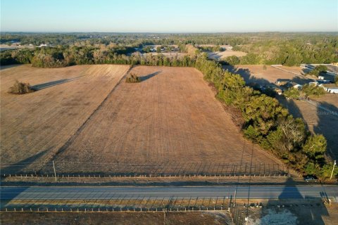 Terrain à Ocala, Floride № 2125980