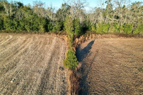 Land in Ocala, Florida № 2125980 - photo 11