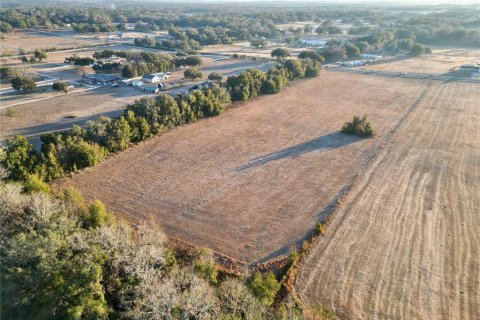 Land in Ocala, Florida № 2125980 - photo 4