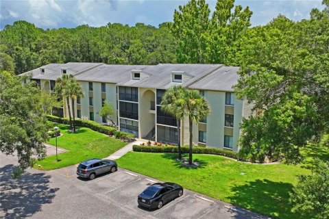 Condo in Tarpon Springs, Florida, 2 bedrooms  № 1274600 - photo 29