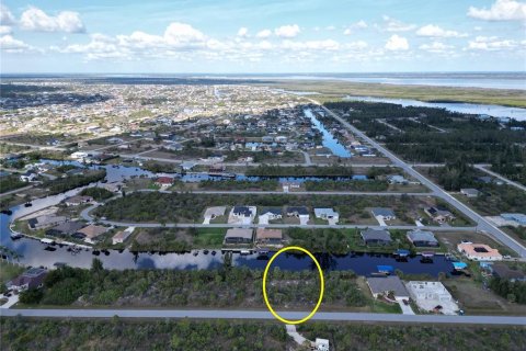 Land in Port Charlotte, Florida № 1543339 - photo 9