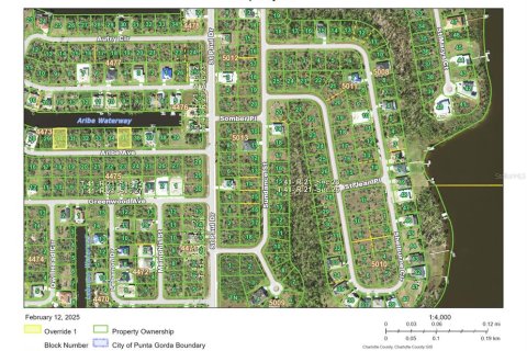 Land in Port Charlotte, Florida № 1543339 - photo 10