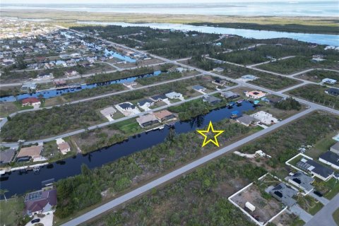 Land in Port Charlotte, Florida № 1543339 - photo 5