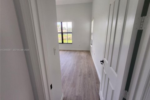 Villa ou maison à louer à Ave Maria, Floride: 4 chambres № 2348680 - photo 8