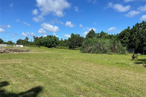 Commercial property in Miami, Florida № 1944336 - photo 7