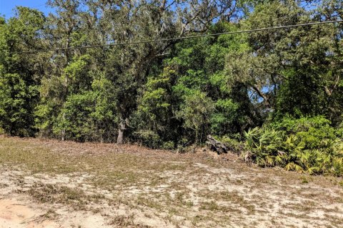 Terreno en venta en Keystone Heights, Florida № 765534 - foto 1