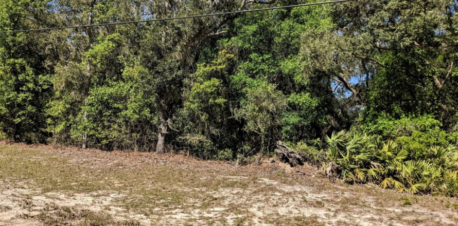 Terreno en Keystone Heights, Florida № 765534