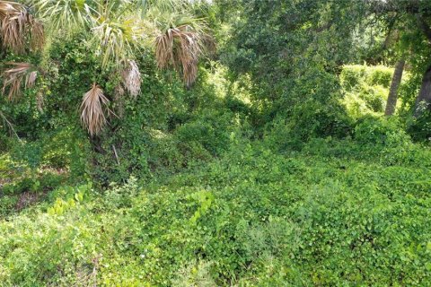 Terreno en venta en Port Charlotte, Florida № 1884145 - foto 11