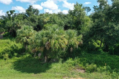 Terreno en venta en Port Charlotte, Florida № 1884145 - foto 7