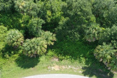 Terreno en venta en Port Charlotte, Florida № 1884145 - foto 15