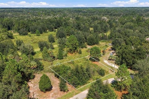 Land in Crystal River, Florida № 2379334 - photo 2