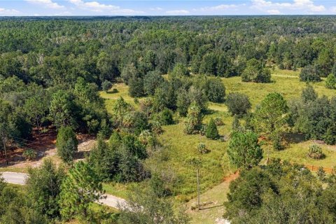Land in Crystal River, Florida № 2379334