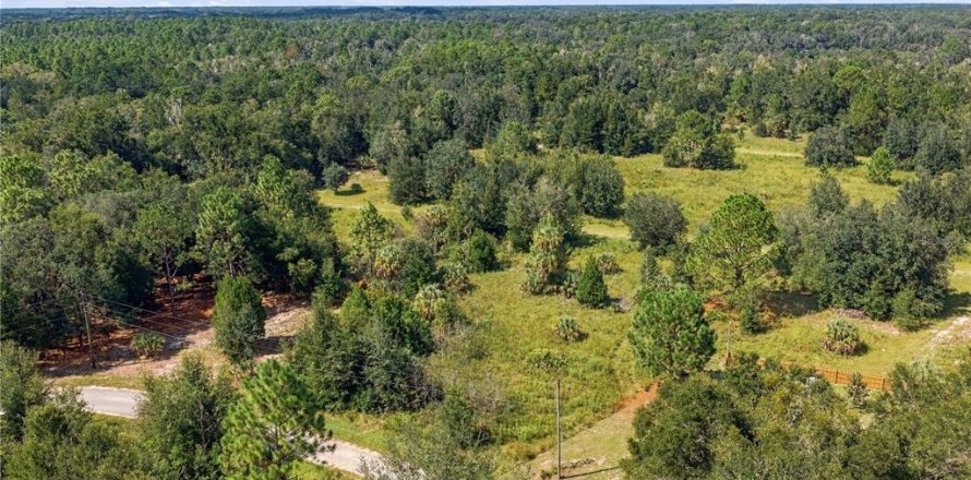Land in Crystal River, Florida № 2379334