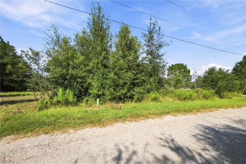 Land in Crystal River, Florida № 2379334 - photo 6