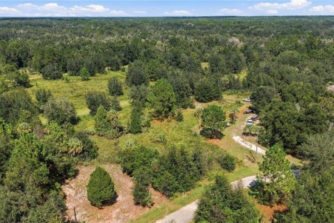 Land in Crystal River, Florida № 2379334 - photo 3