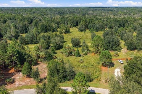 Land in Crystal River, Florida № 2379334 - photo 4