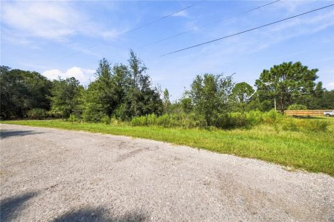 Land in Crystal River, Florida № 2379334 - photo 5