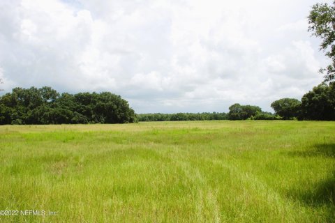 Land in Melrose, Florida № 765591 - photo 1