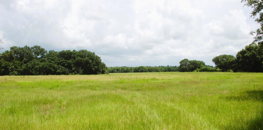 Land in Melrose, Florida № 765591