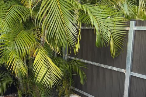 Immobilier commercial à louer à Miami, Floride: 1 chambre, 182.83 m2 № 2000956 - photo 6