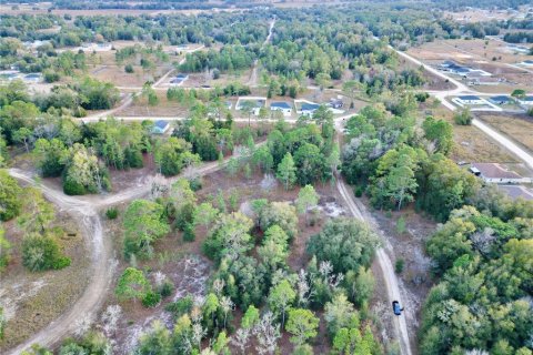 Land in Ocala, Florida № 1719874 - photo 8